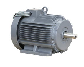 德國,MARELLI MOTORI 電機(jī)