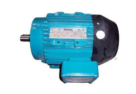 英國(guó)Brook Crompton電機(jī)7-D225M