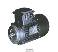 意大利CARPANELLI特殊電機